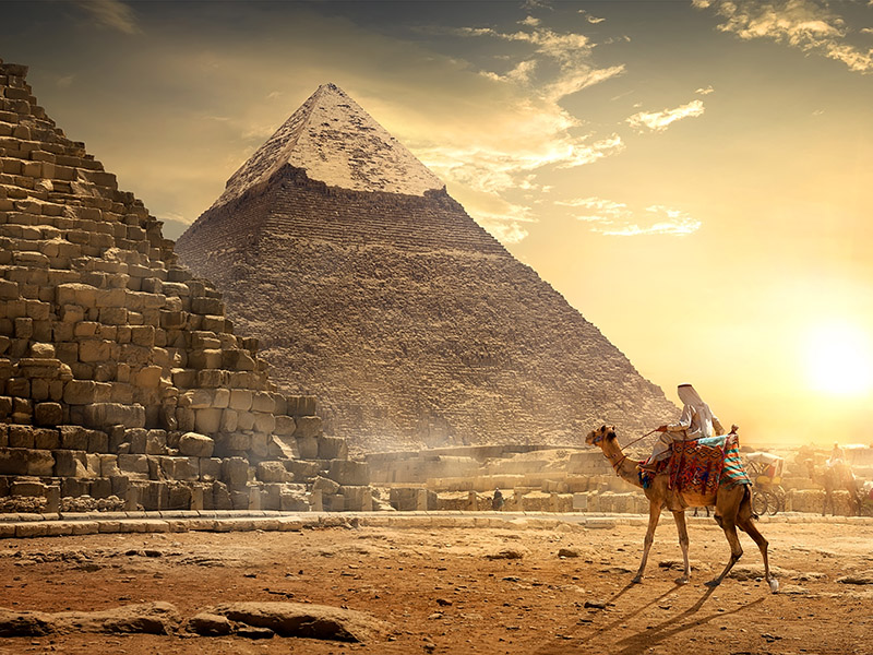 Nomad on camel near pyramids in egyptian desert